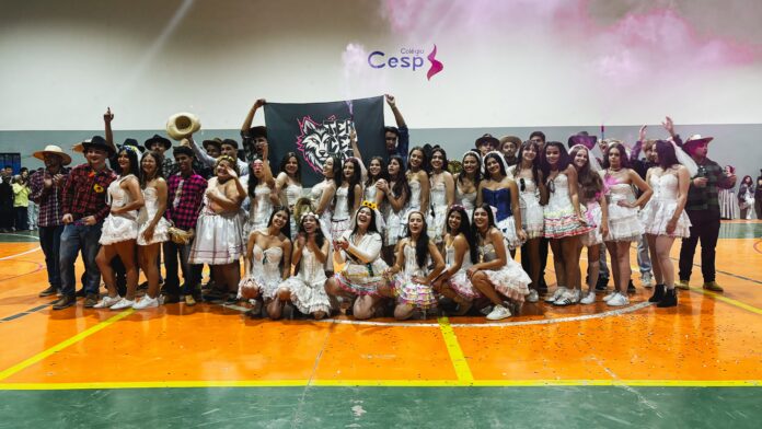 cesp 2 (7)